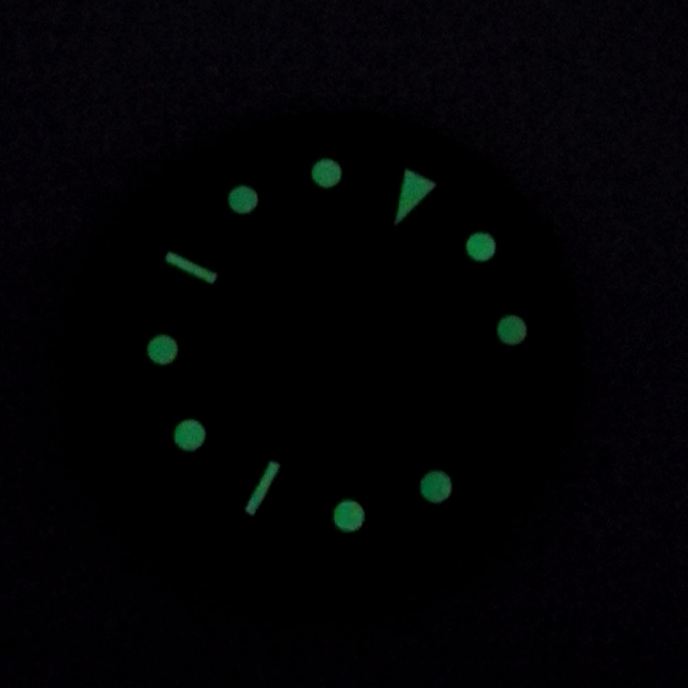 100m Waterproof Watch Case 41m - Bronze Case Watch 리뷰 및 가격