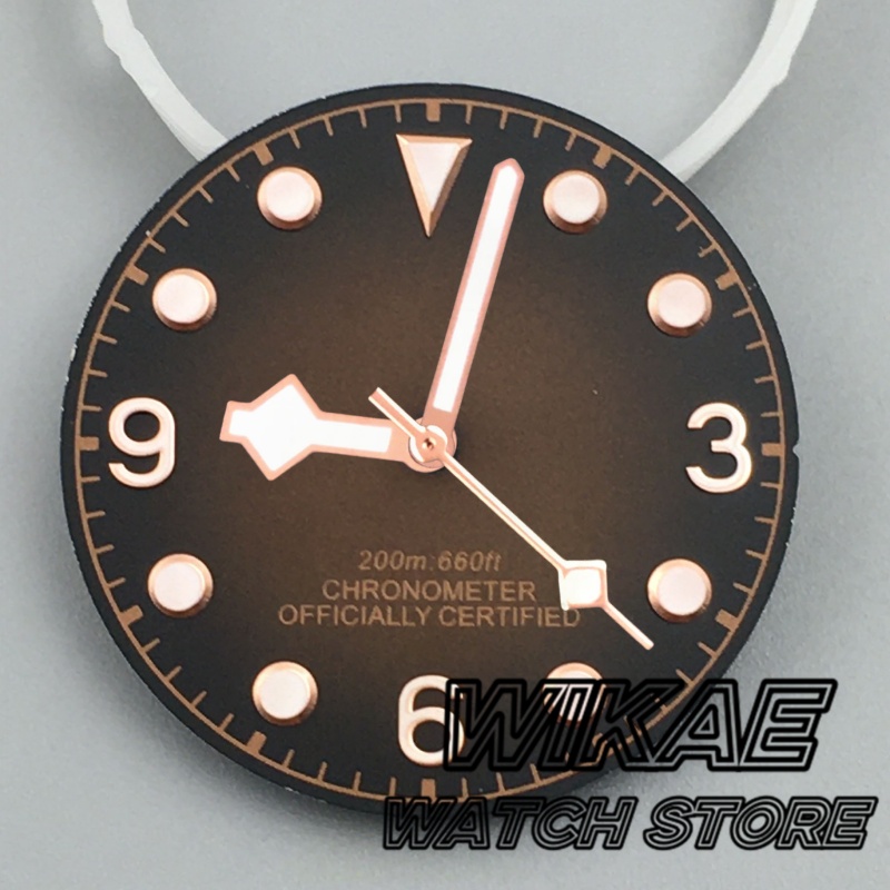 29mm gradient dial Vintage Bla - Bronze Case Watch 리뷰 및 가격